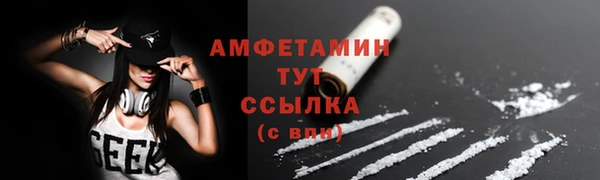стафф Михайлов