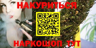 индика Гагарин