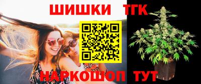 индика Гагарин