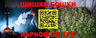 хмурый Гатчина
