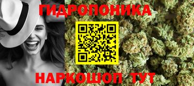 СК Абинск
