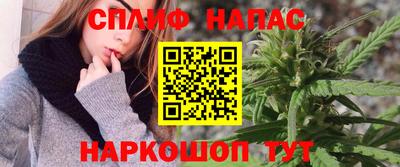 хмурый Гатчина