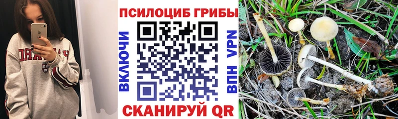 Галлюциногенные грибы мицелий  Лениногорск 