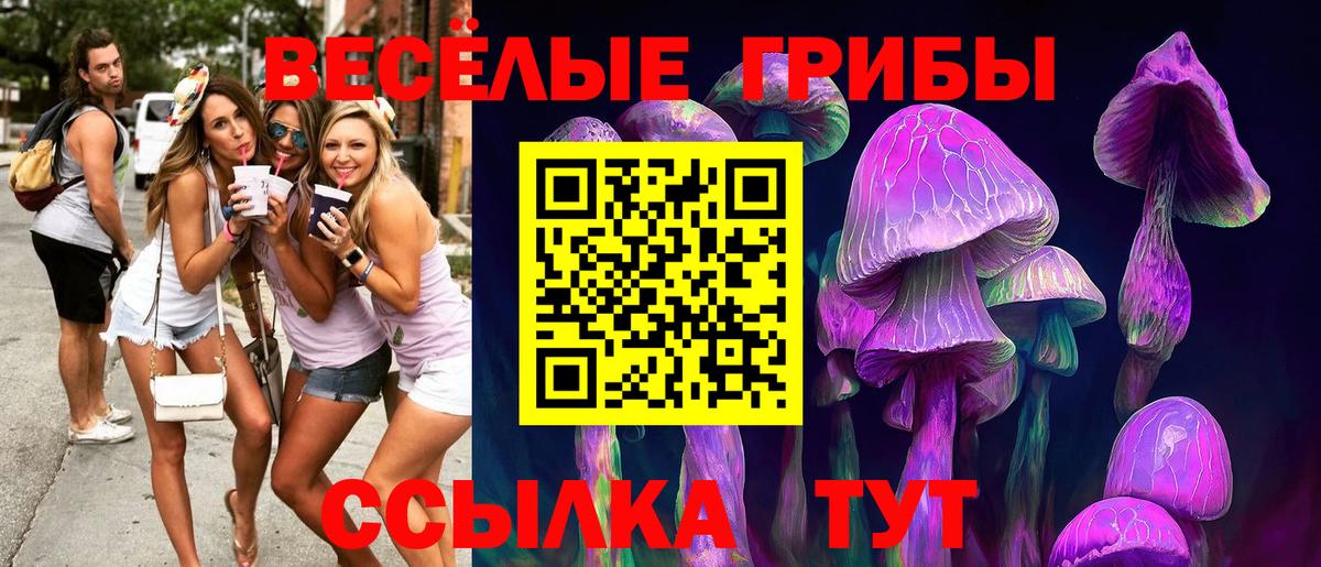 Лениногорск  Псилоцибиновые грибы прущие грибы  Вход с VPN 